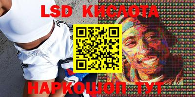 гидропоника Новозыбков