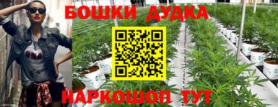 скорость Новодвинск