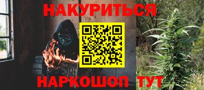 гидропоника Новозыбков