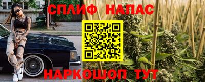 гидропоника Новозыбков