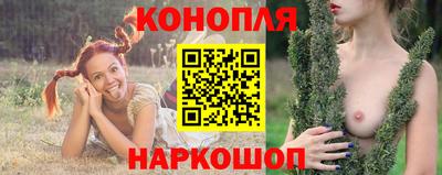 гидропоника Новозыбков