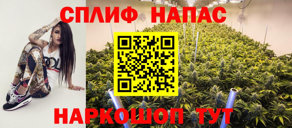 Бошки марихуана план Белая Калитва